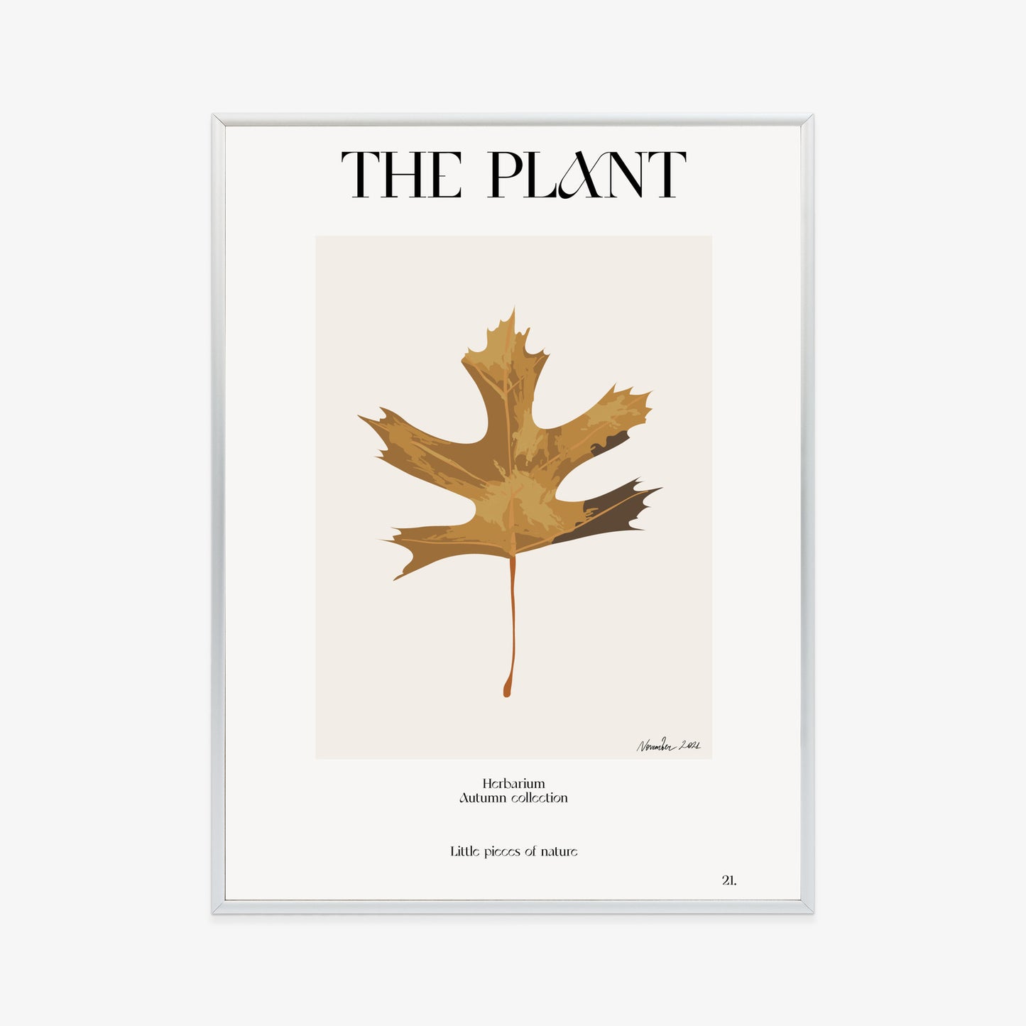 Poster Herbstblatt Im Herbarium Rahmen Holz Mit Passepartout Farbe Natürlich