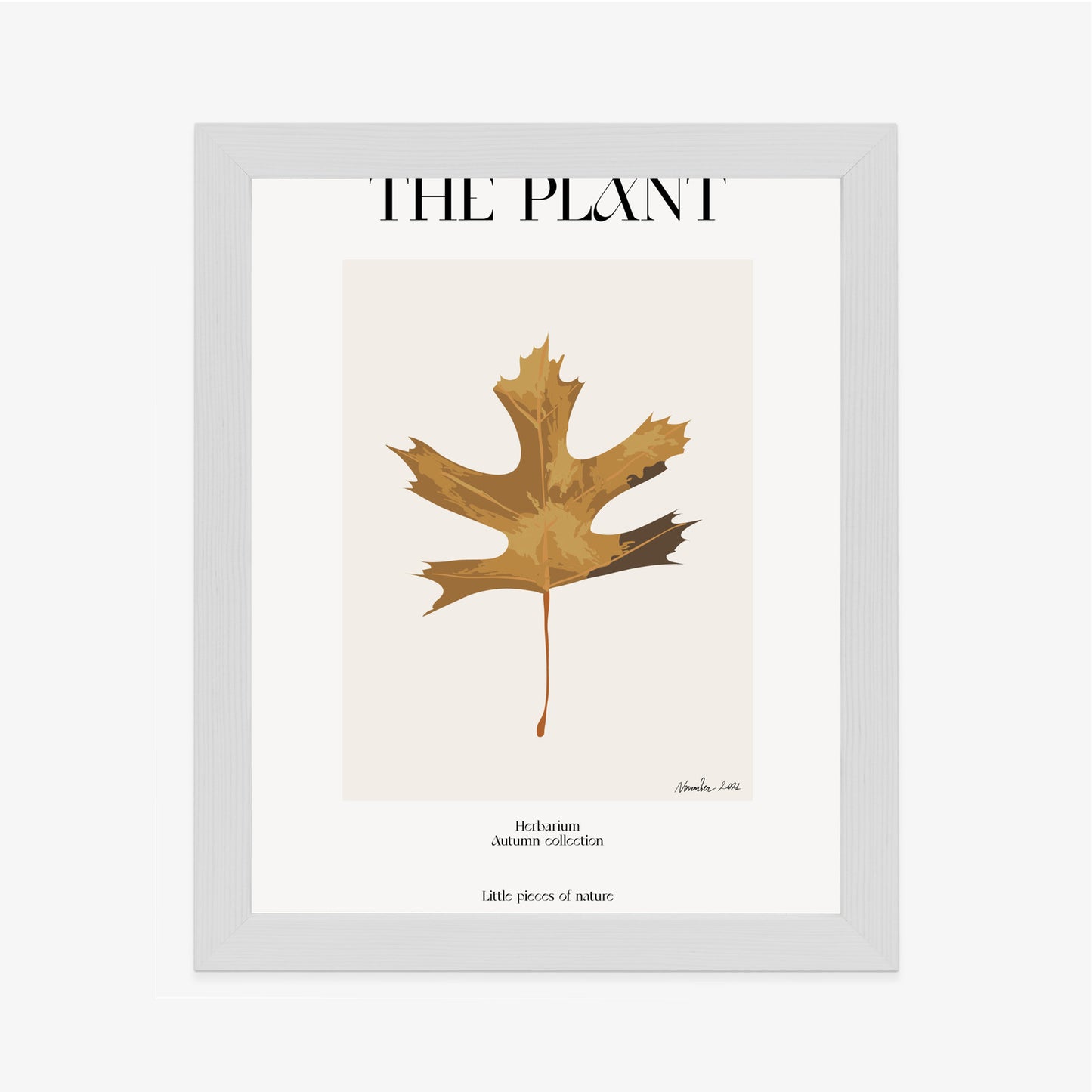 Poster Herbstblatt Im Herbarium Rahmen Holz Mit Passepartout Farbe Natürlich