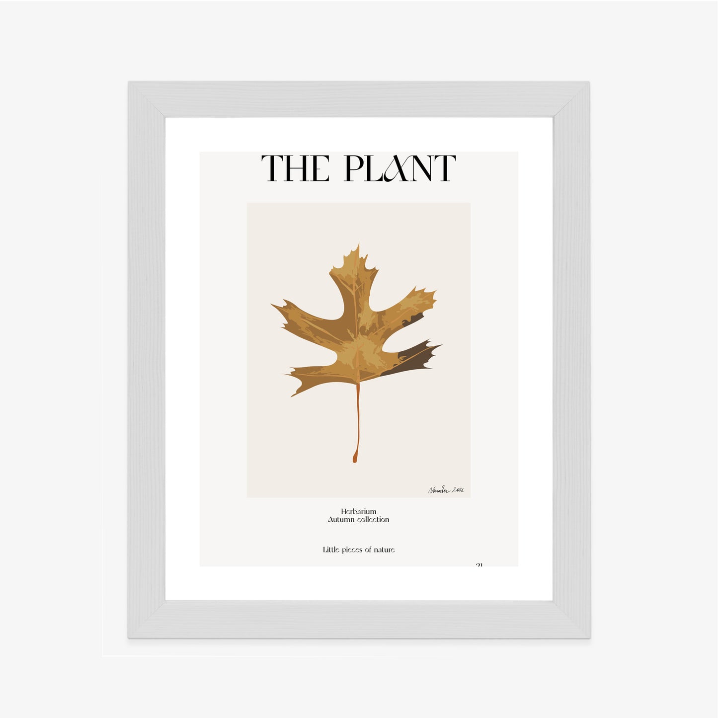 Poster Herbstblatt Im Herbarium Rahmen Holz Mit Passepartout Farbe Natürlich