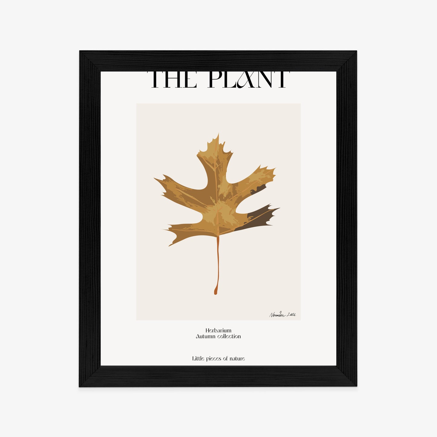 Poster Herbstblatt Im Herbarium Rahmen Holz Mit Passepartout Farbe Natürlich