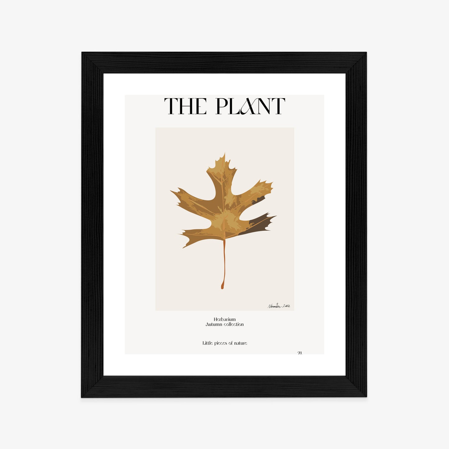 Poster Herbstblatt Im Herbarium Rahmen Holz Mit Passepartout Farbe Natürlich