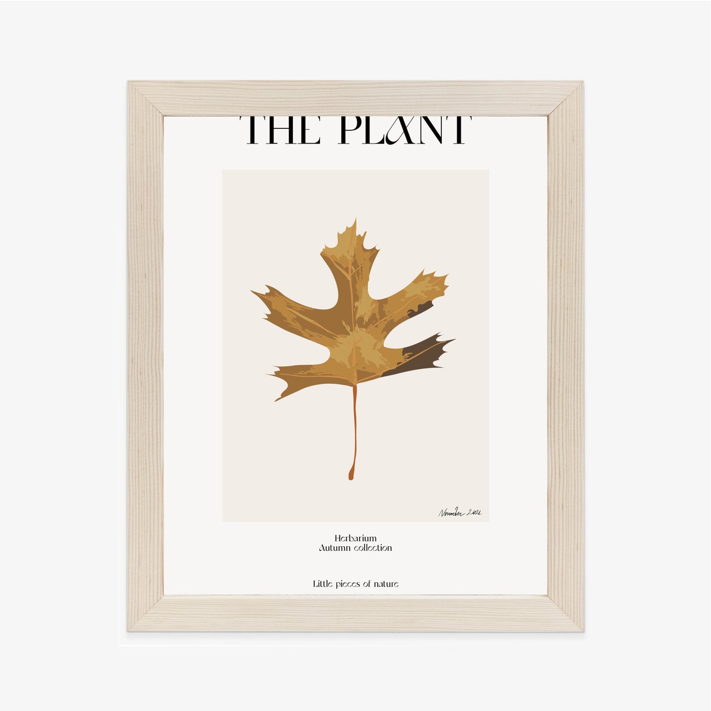 Poster Herbstblatt Im Herbarium Rahmen Holz Mit Passepartout Farbe Natürlich