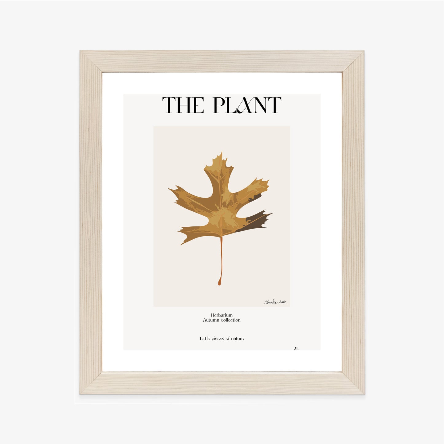 Poster Herbstblatt Im Herbarium Rahmen Holz Mit Passepartout Farbe Natürlich