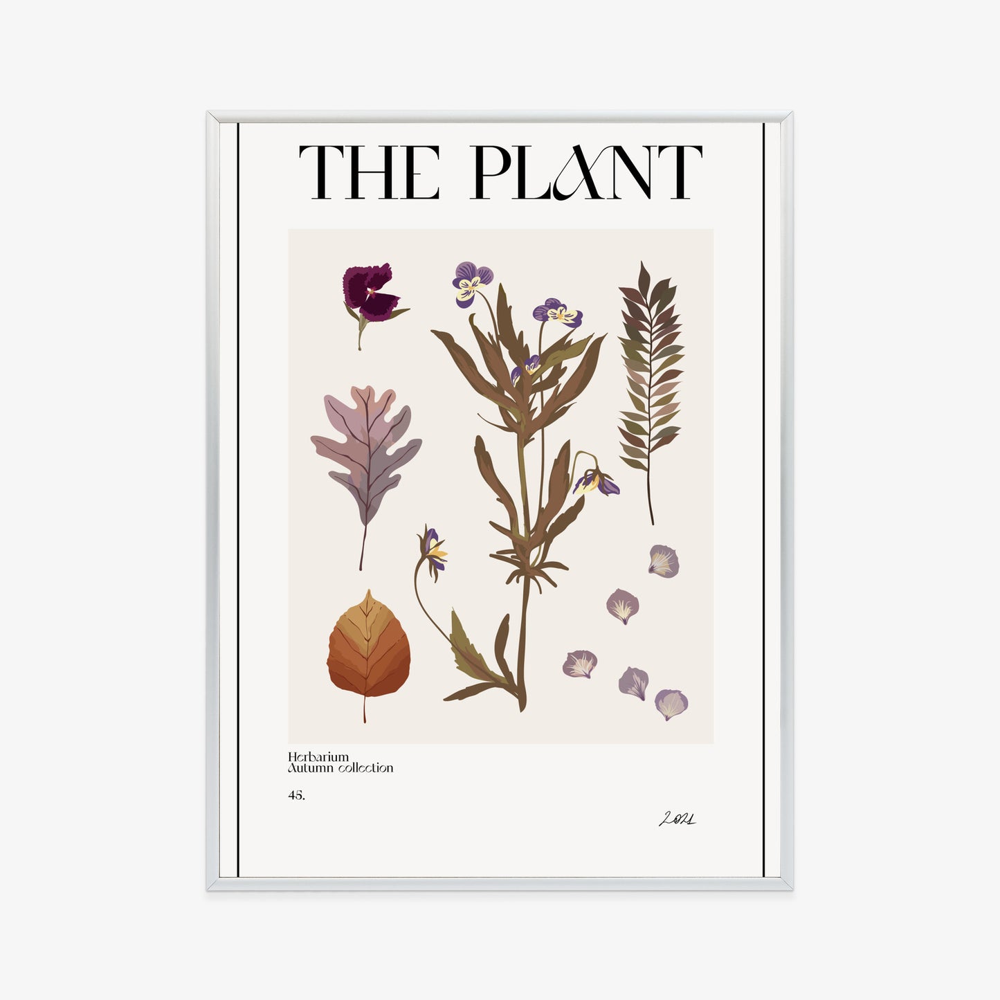 Poster Herbstpflanzen Im Herbarium Rahmen Aluminium Mit Passepartout Farbe Schwarz