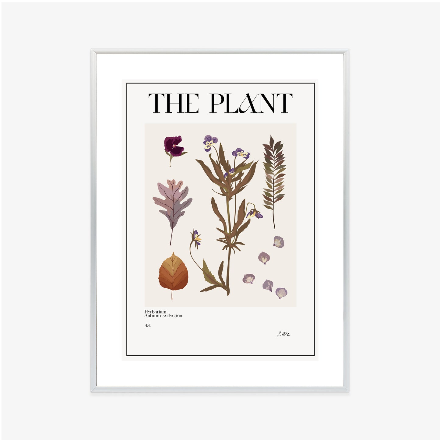 Poster Herbstpflanzen Im Herbarium Rahmen Aluminium Mit Passepartout Farbe Schwarz