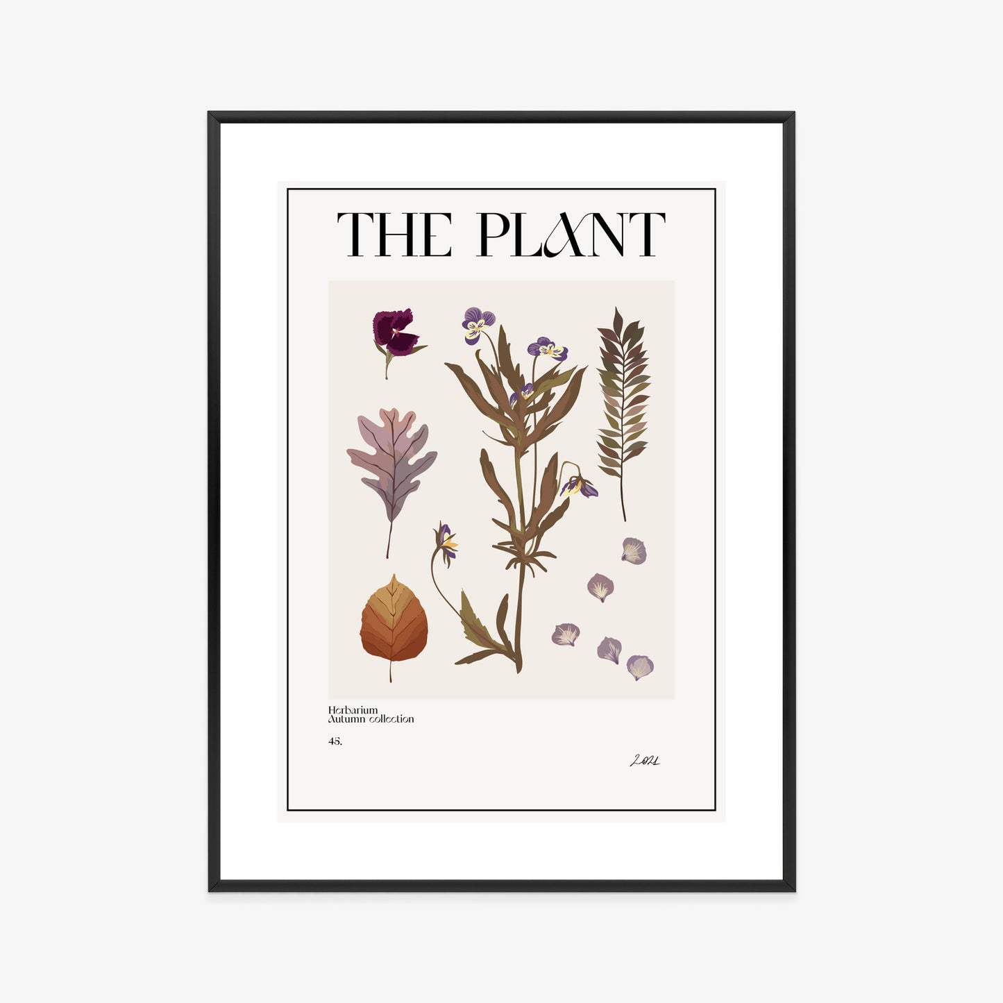 Poster Herbstpflanzen Im Herbarium Rahmen Aluminium Mit Passepartout Farbe Schwarz