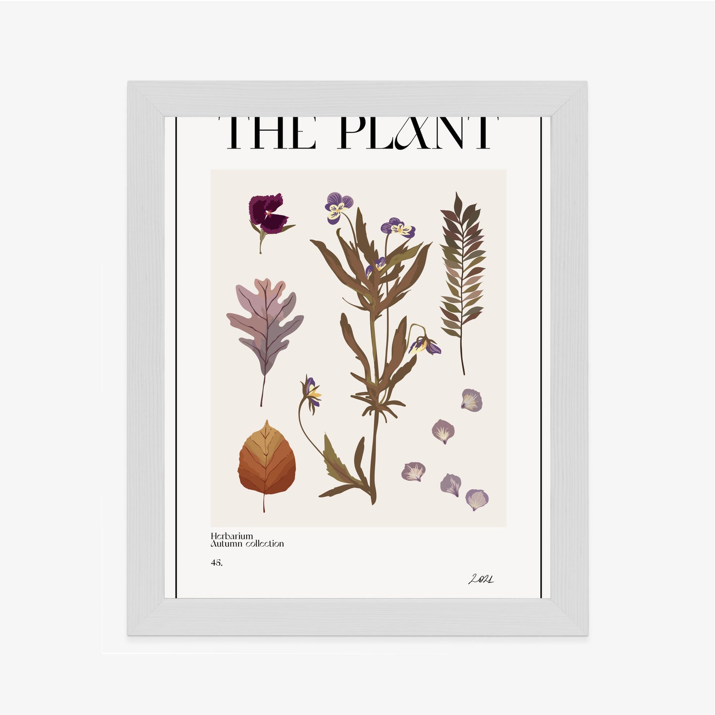 Poster Herbstpflanzen Im Herbarium Rahmen Aluminium Mit Passepartout Farbe Schwarz