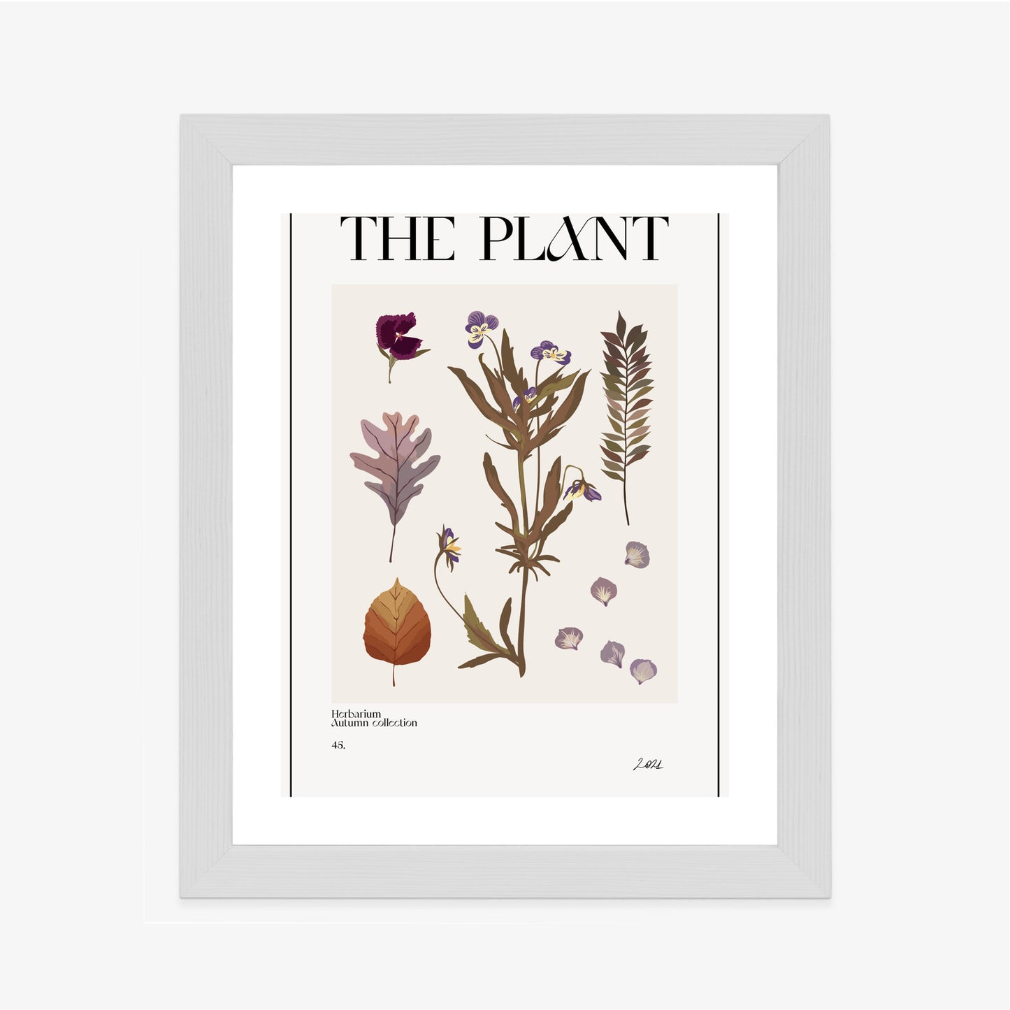 Poster Herbstpflanzen Im Herbarium Rahmen Aluminium Mit Passepartout Farbe Schwarz