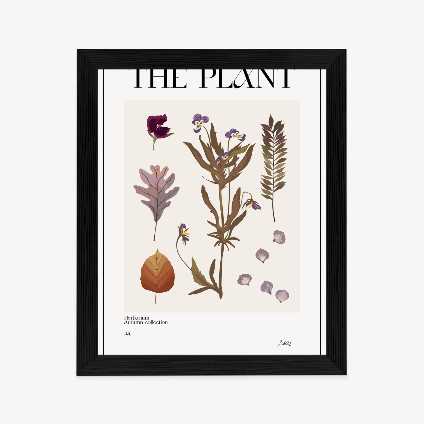 Poster Herbstpflanzen Im Herbarium Rahmen Aluminium Mit Passepartout Farbe Schwarz