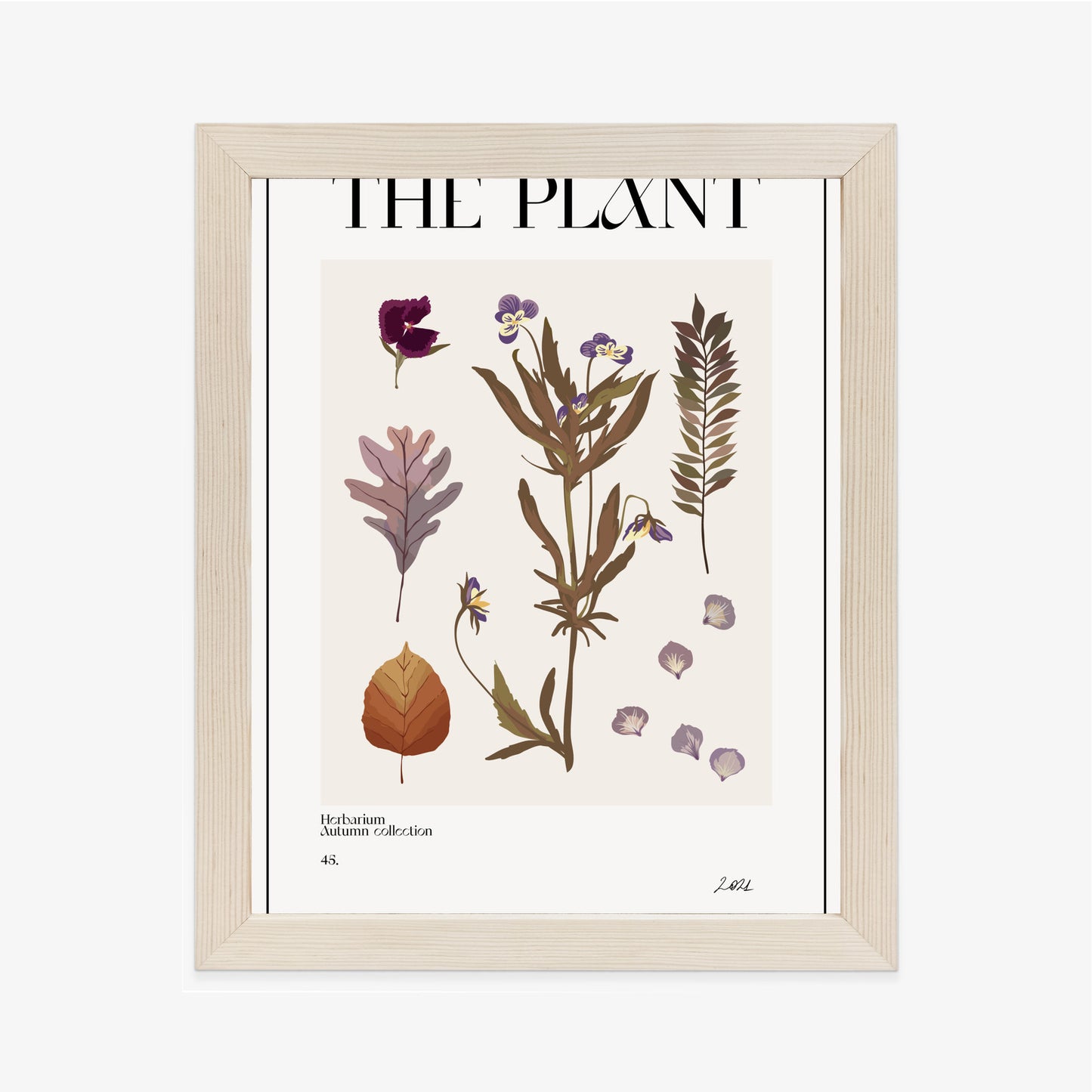 Poster Herbstpflanzen Im Herbarium Rahmen Aluminium Mit Passepartout Farbe Schwarz