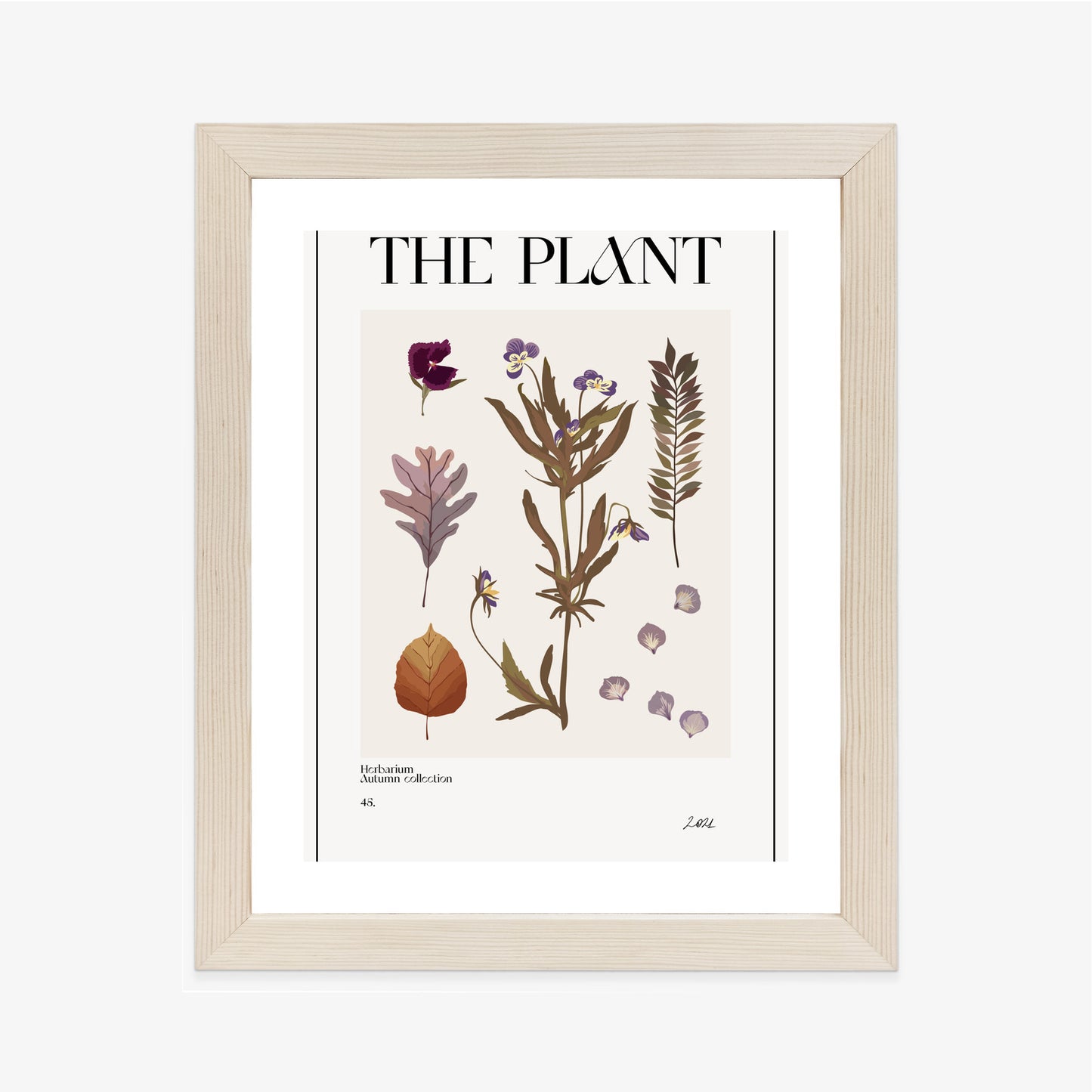 Poster Herbstpflanzen Im Herbarium Rahmen Aluminium Mit Passepartout Farbe Schwarz
