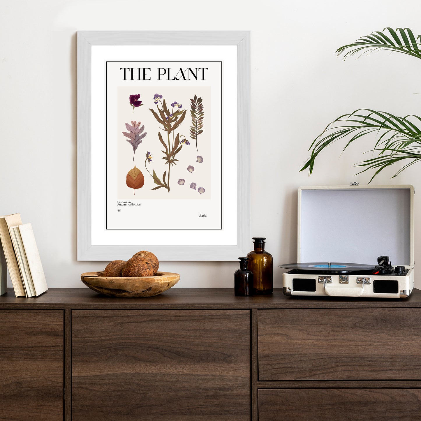 Poster Herbstpflanzen Im Herbarium Rahmen Aluminium Mit Passepartout Farbe Schwarz