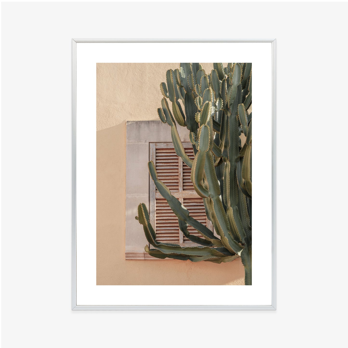 Poster Exotischer Kaktus Auf Orangefarbenem Hintergrund Rahmen Holz Mit Passepartout Farbe Natürlich