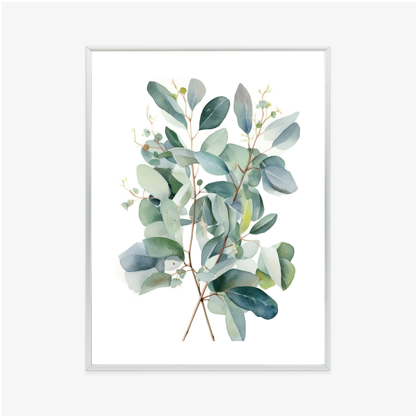 Poster Eukalyptuszweigstrauß Mit Aquarell Bemalt