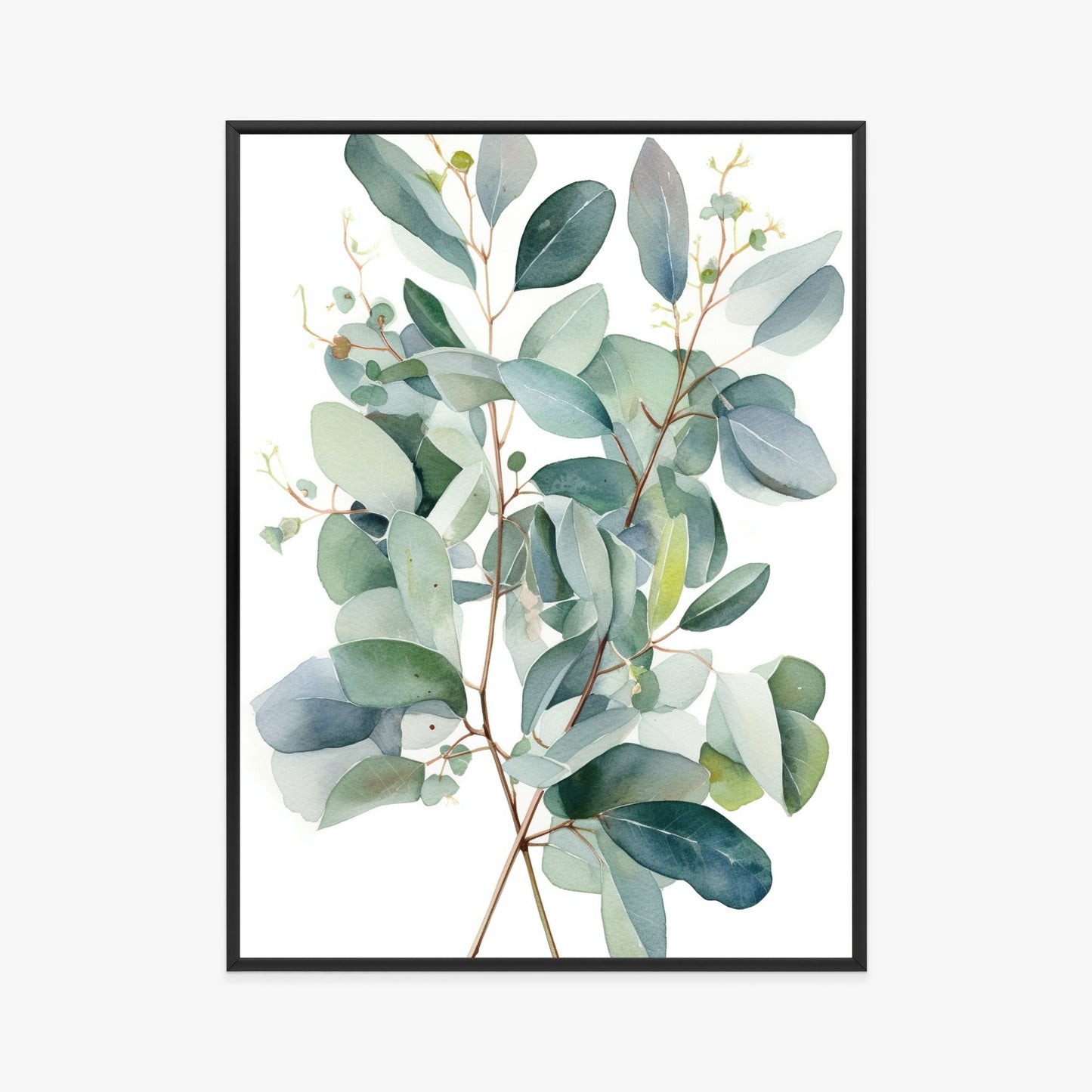 Poster Eukalyptuszweigstrauß Mit Aquarell Bemalt