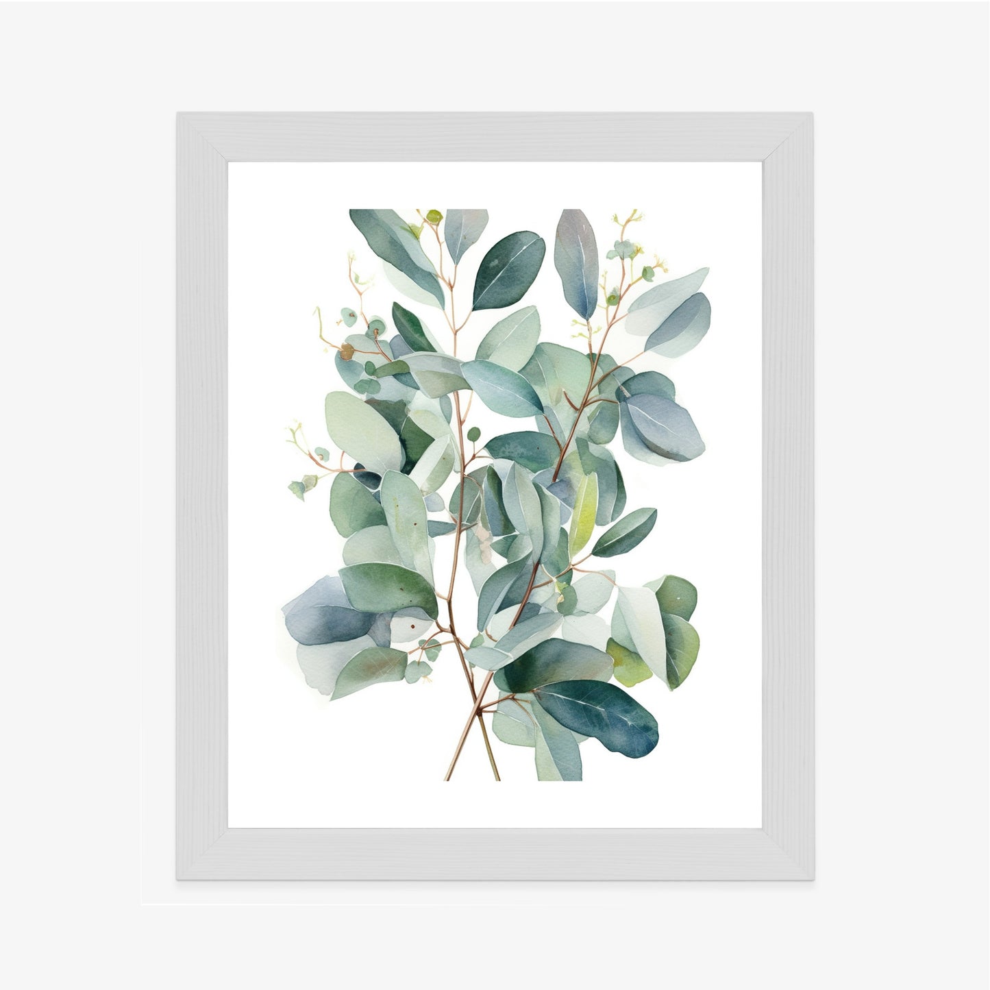 Poster Eukalyptuszweigstrauß Mit Aquarell Bemalt