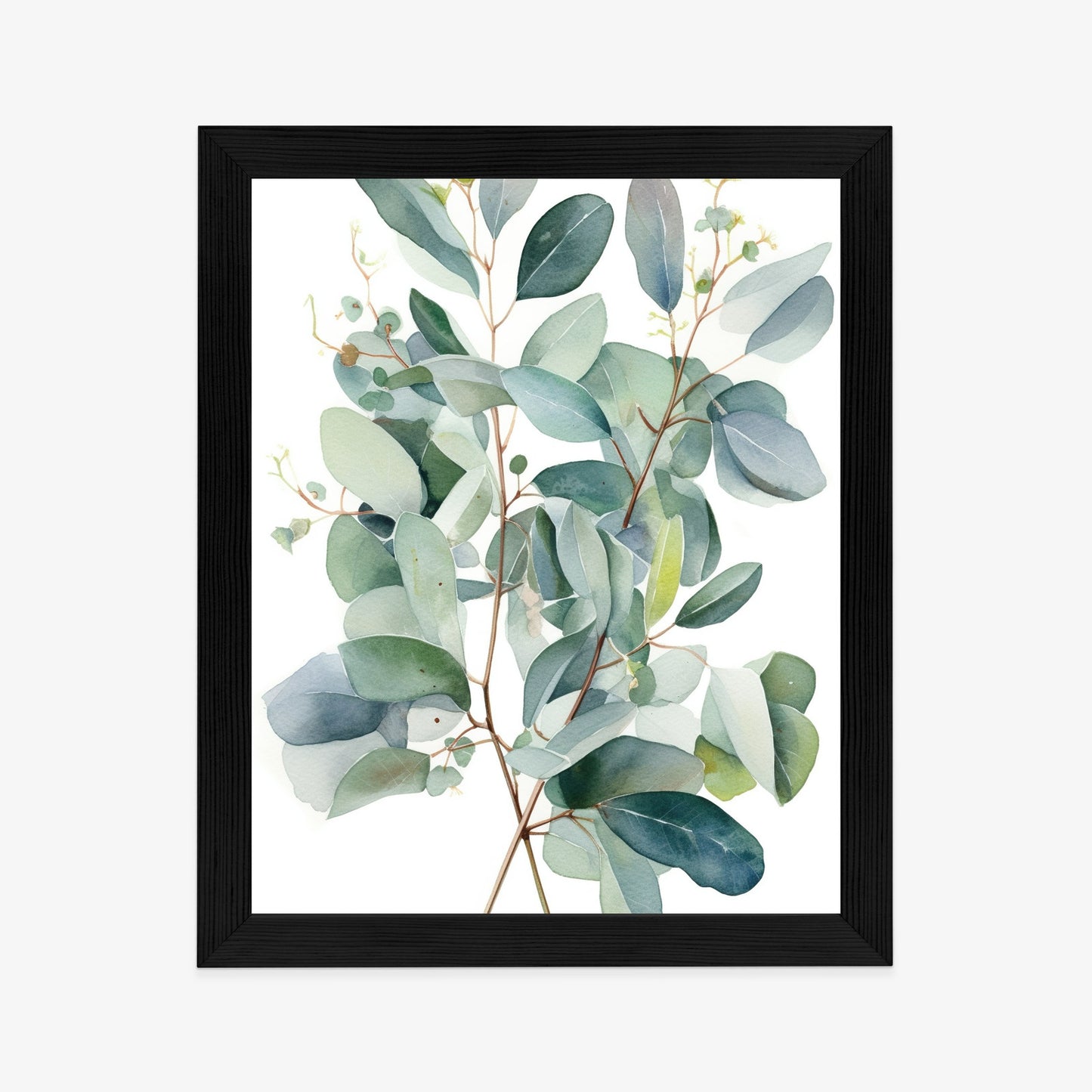 Poster Eukalyptuszweigstrauß Mit Aquarell Bemalt