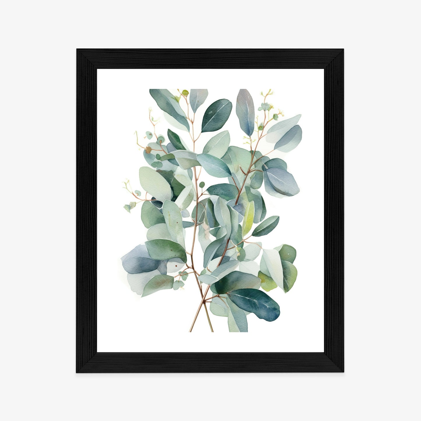Poster Eukalyptuszweigstrauß Mit Aquarell Bemalt