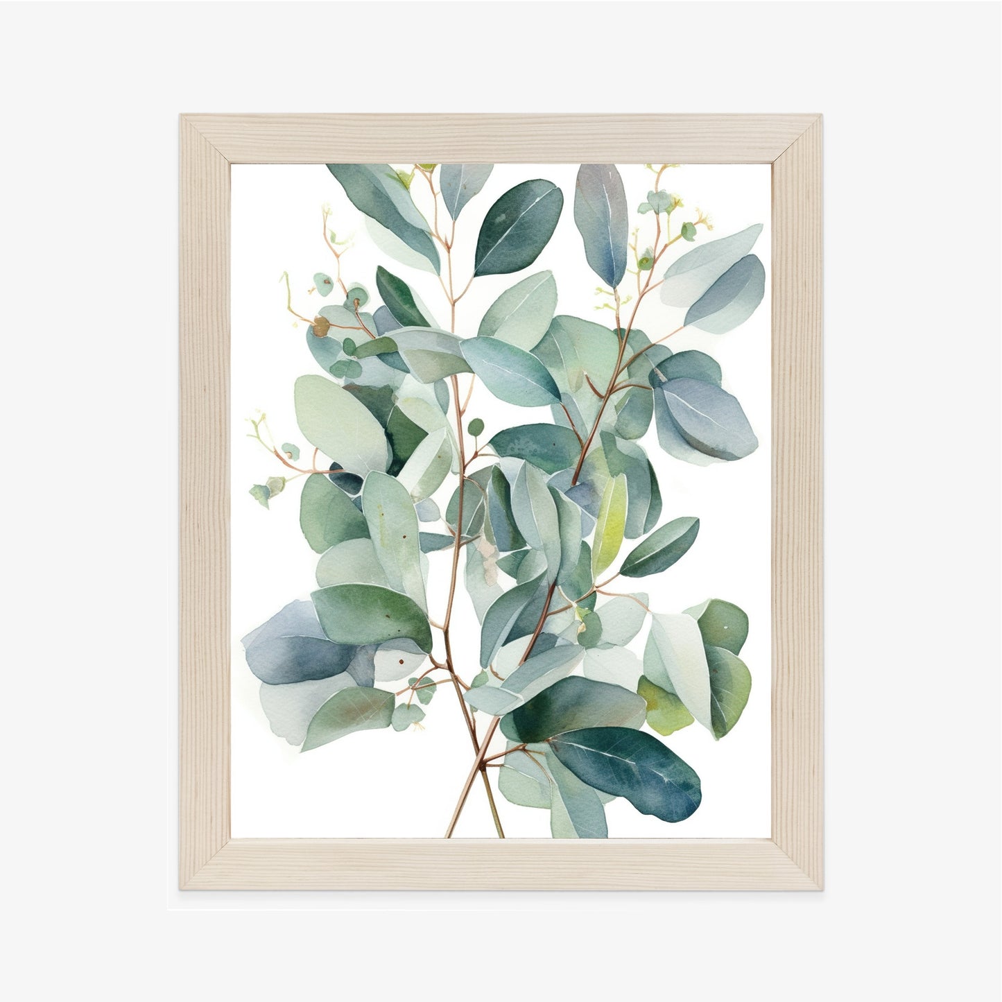 Poster Eukalyptuszweigstrauß Mit Aquarell Bemalt