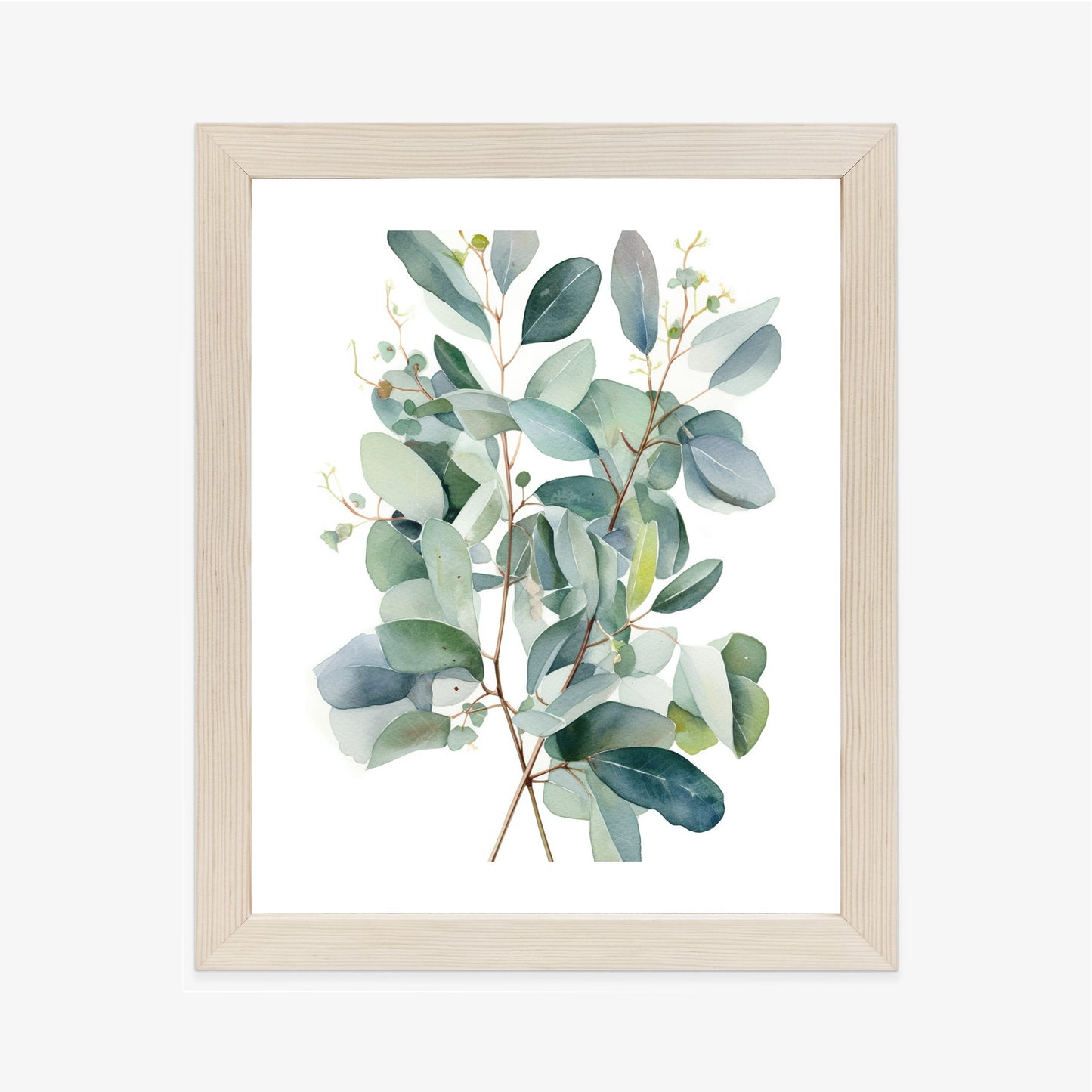 Poster Eukalyptuszweigstrauß Mit Aquarell Bemalt