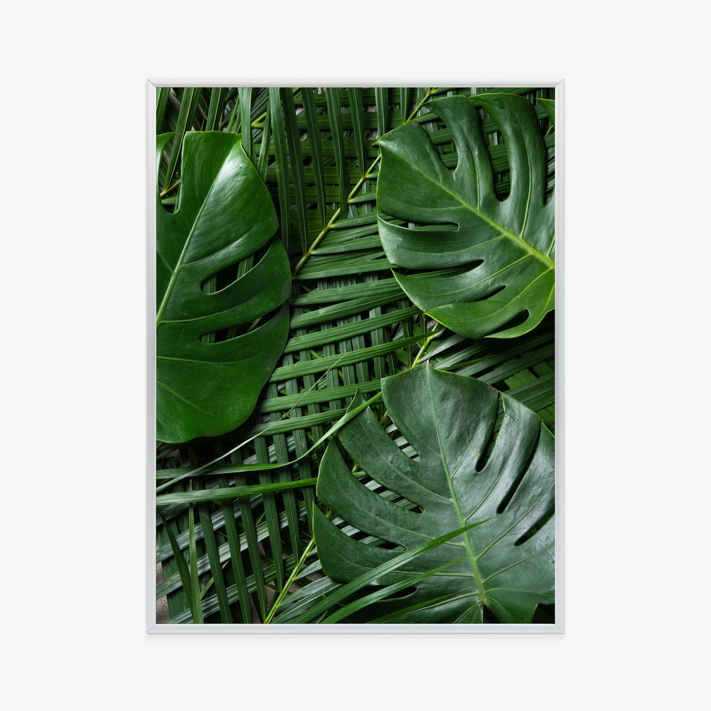 Poster Grüne Monstera Und Palmblätter Rahmen Holz Mit Passepartout Farbe Natürlich