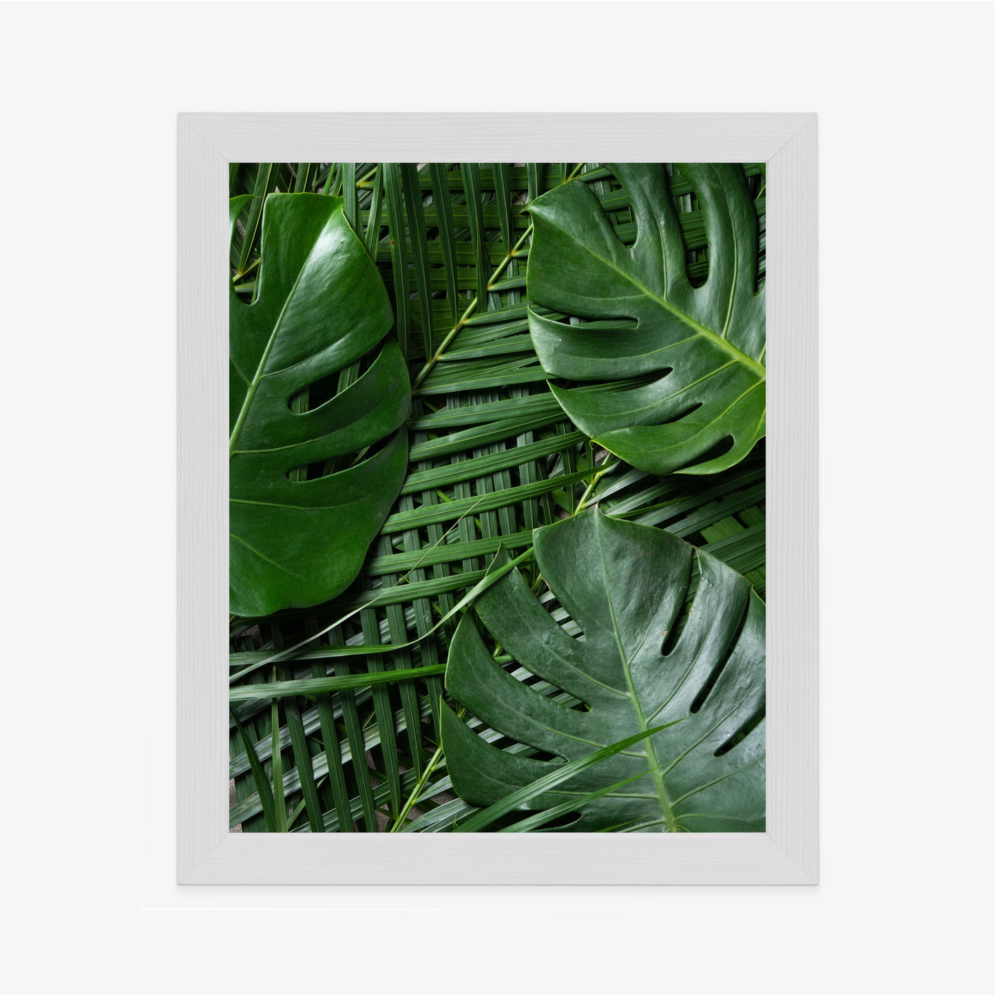 Poster Grüne Monstera Und Palmblätter Rahmen Holz Mit Passepartout Farbe Natürlich