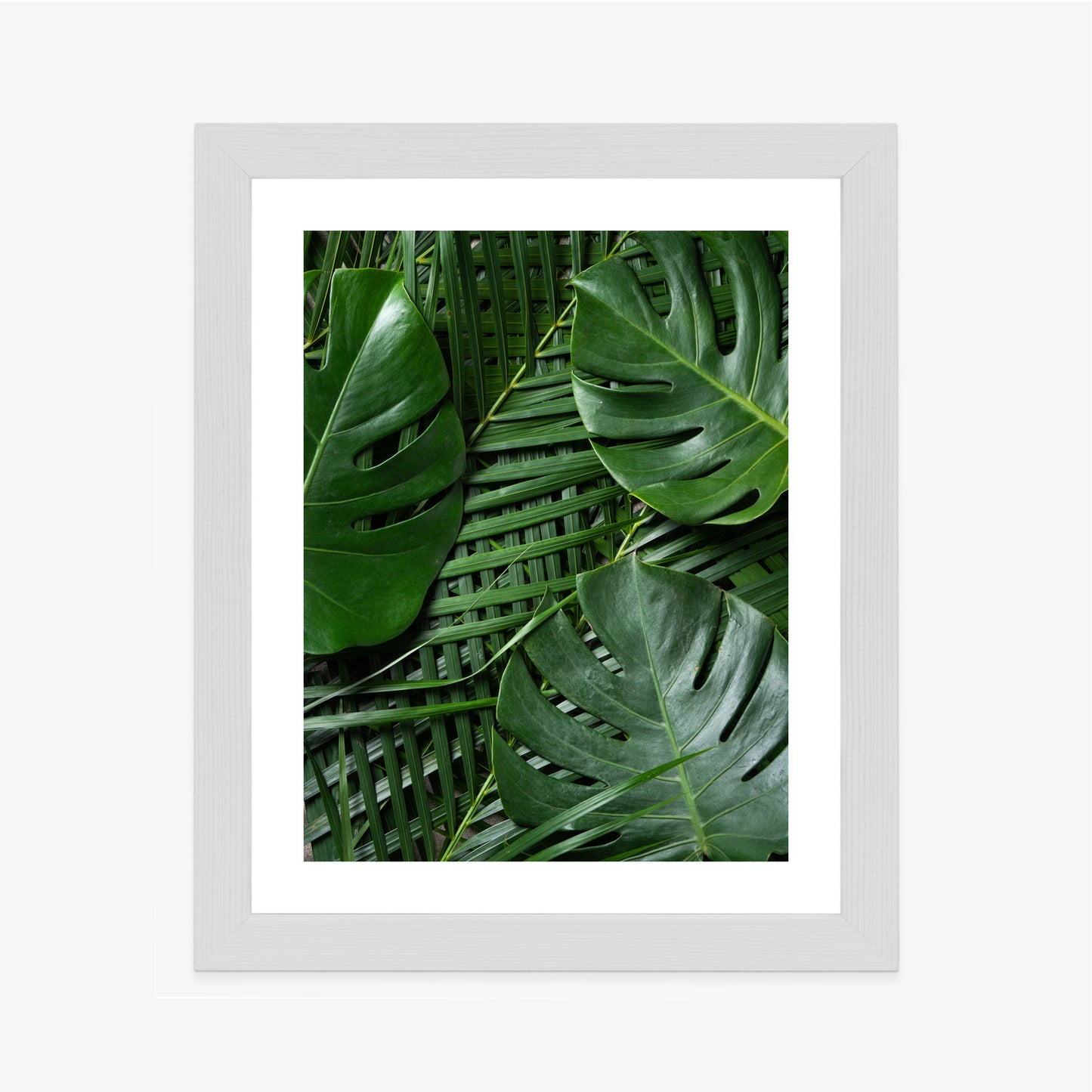Poster Grüne Monstera Und Palmblätter Rahmen Holz Mit Passepartout Farbe Natürlich