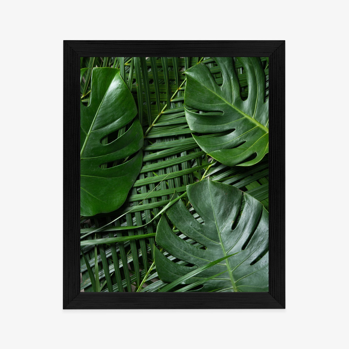 Poster Grüne Monstera Und Palmblätter Rahmen Holz Mit Passepartout Farbe Natürlich