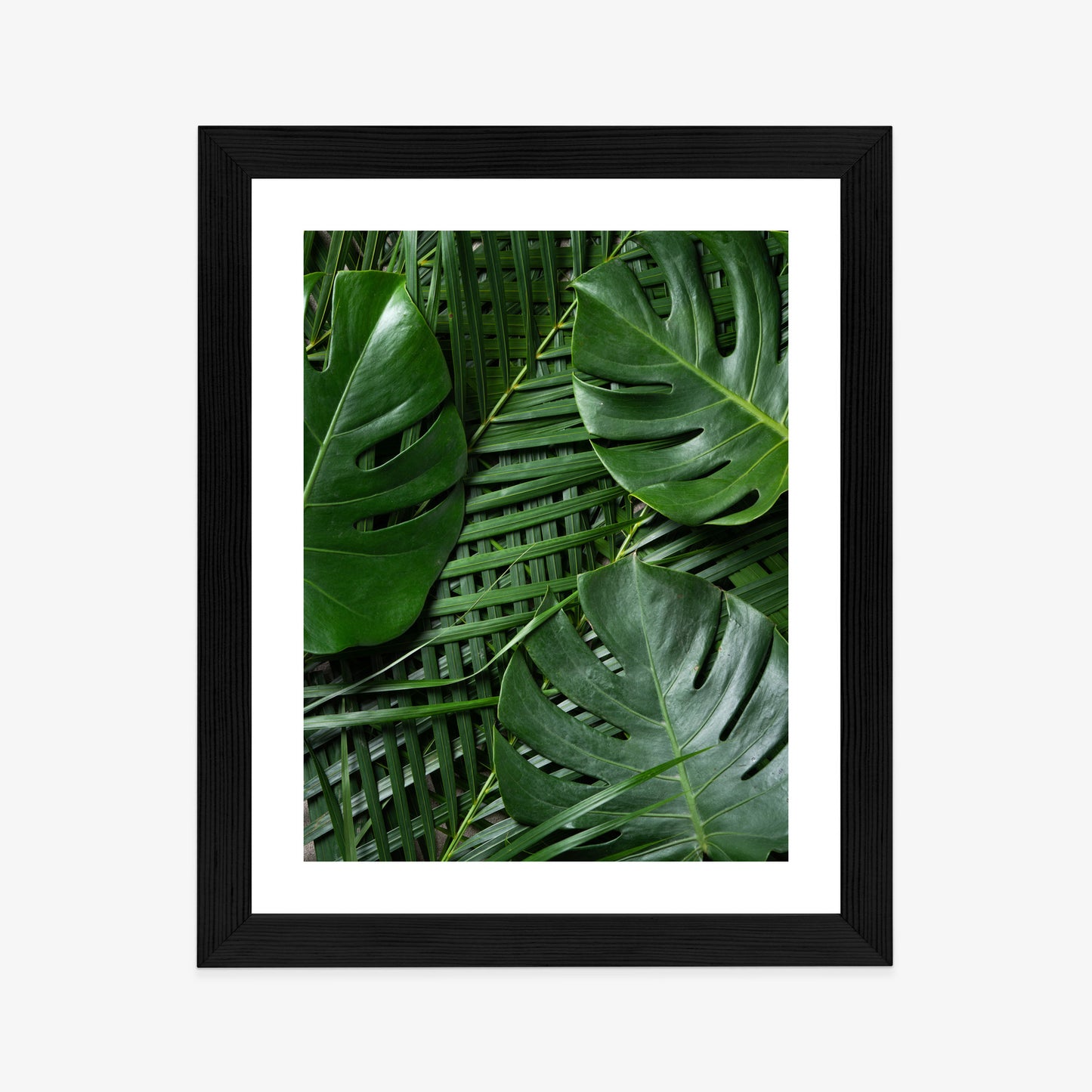 Poster Grüne Monstera Und Palmblätter Rahmen Holz Mit Passepartout Farbe Natürlich