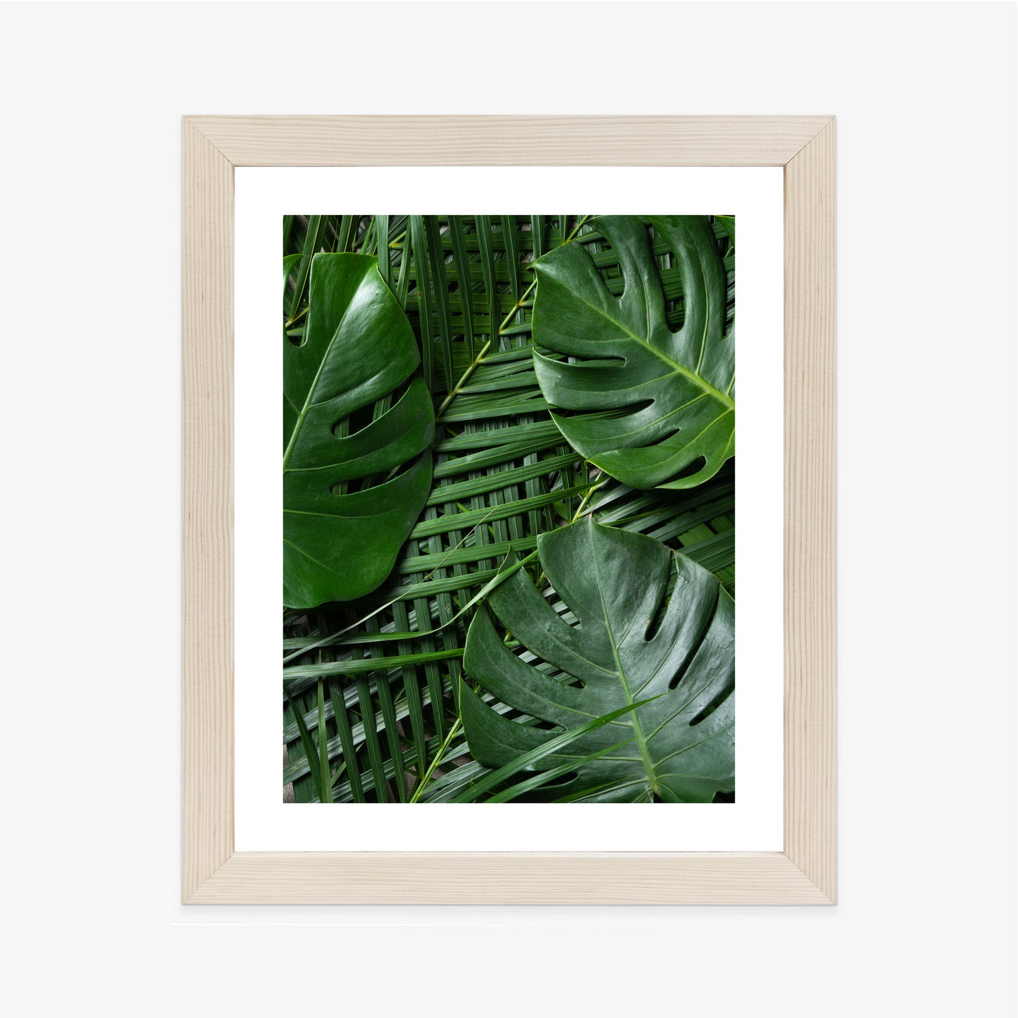 Poster Grüne Monstera Und Palmblätter Rahmen Holz Mit Passepartout Farbe Natürlich