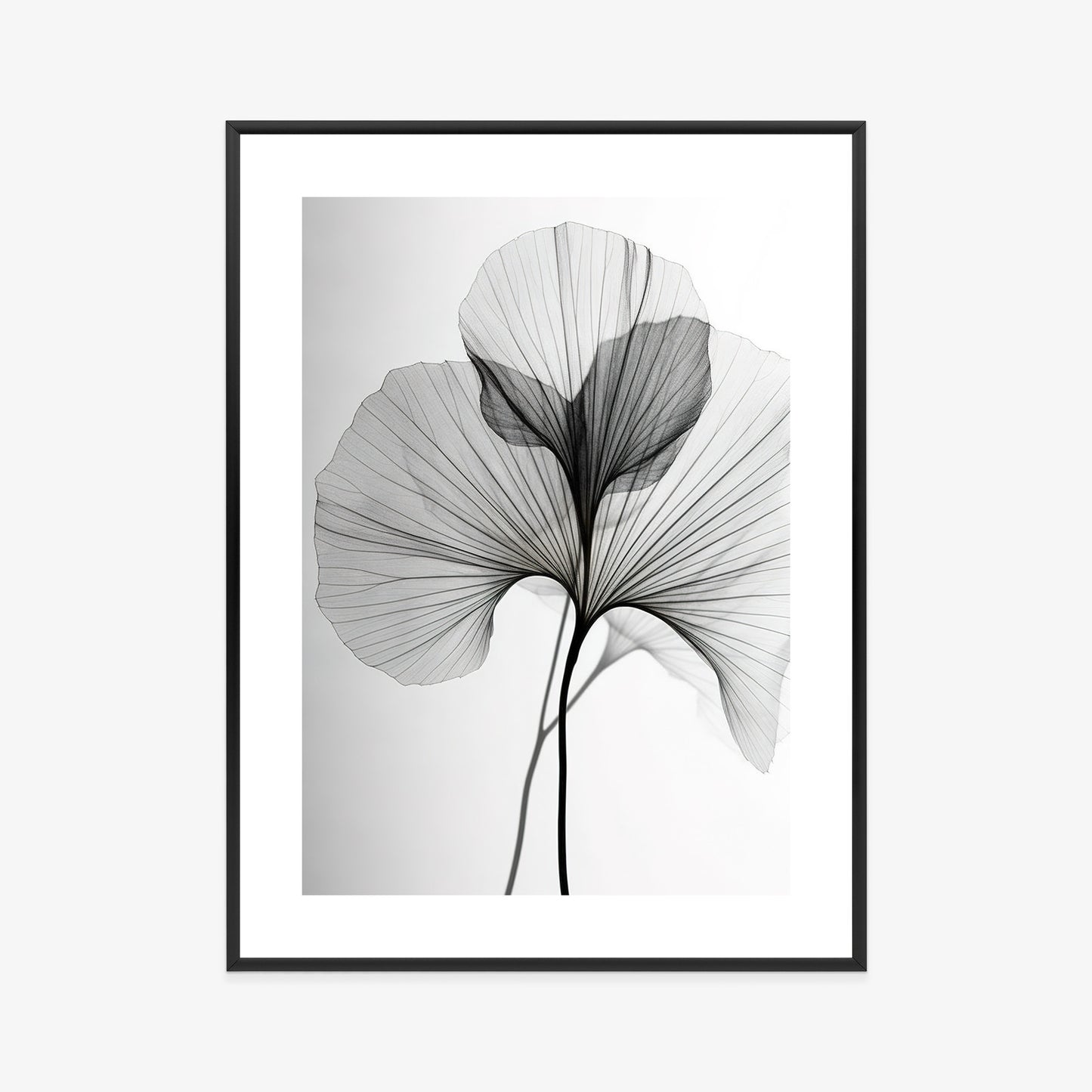 Poster Schwarze Ginkgoblätter Rahmen Hölzern Farbe Natürlich
