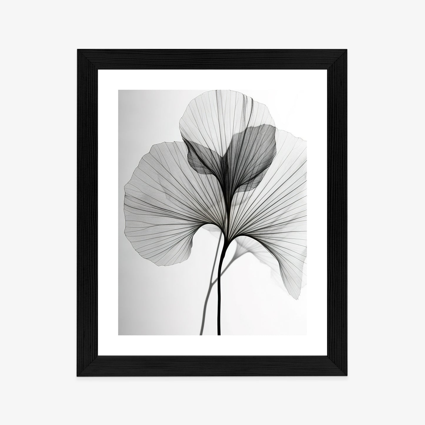 Poster Schwarze Ginkgoblätter Rahmen Hölzern Farbe Natürlich