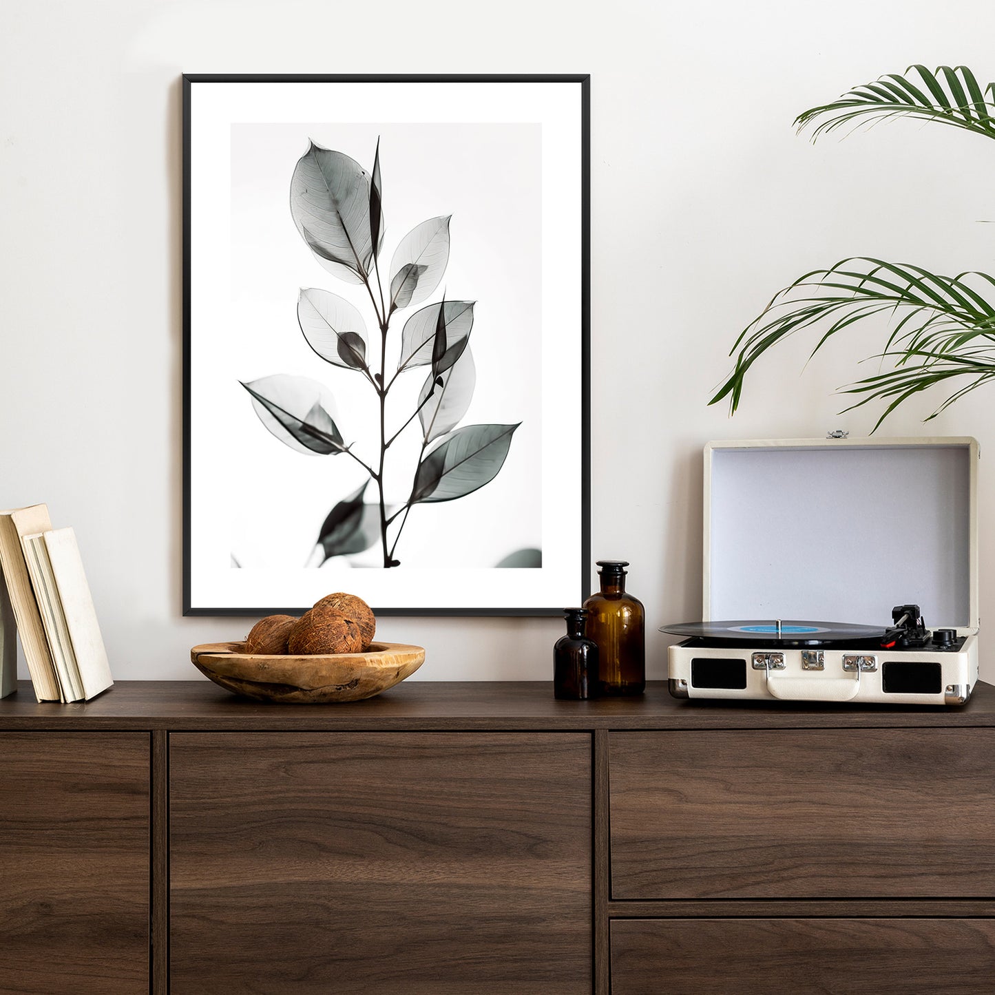 Poster Ein Zweig Mit Grauen Blättern Auf Hellblauem Hintergrund Rahmen Holz Mit Passepartout Farbe Natürlich