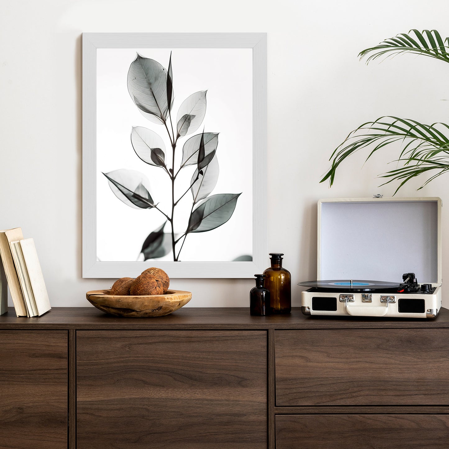 Poster Ein Zweig Mit Grauen Blättern Auf Hellblauem Hintergrund Rahmen Holz Mit Passepartout Farbe Natürlich