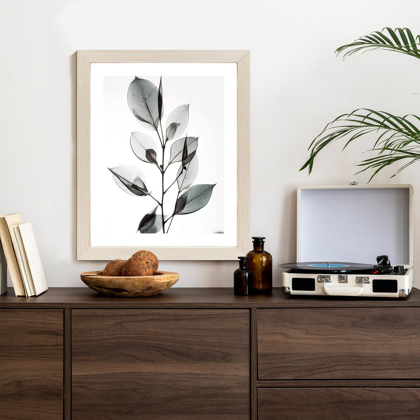Poster Ein Zweig Mit Grauen Blättern Auf Hellblauem Hintergrund Rahmen Holz Mit Passepartout Farbe Natürlich