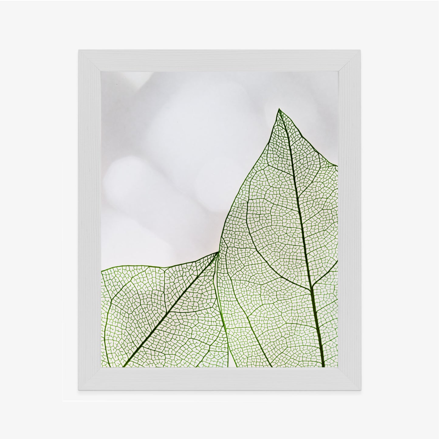 Poster Grüne Transparente Blätter Auf Hellem Hintergrund