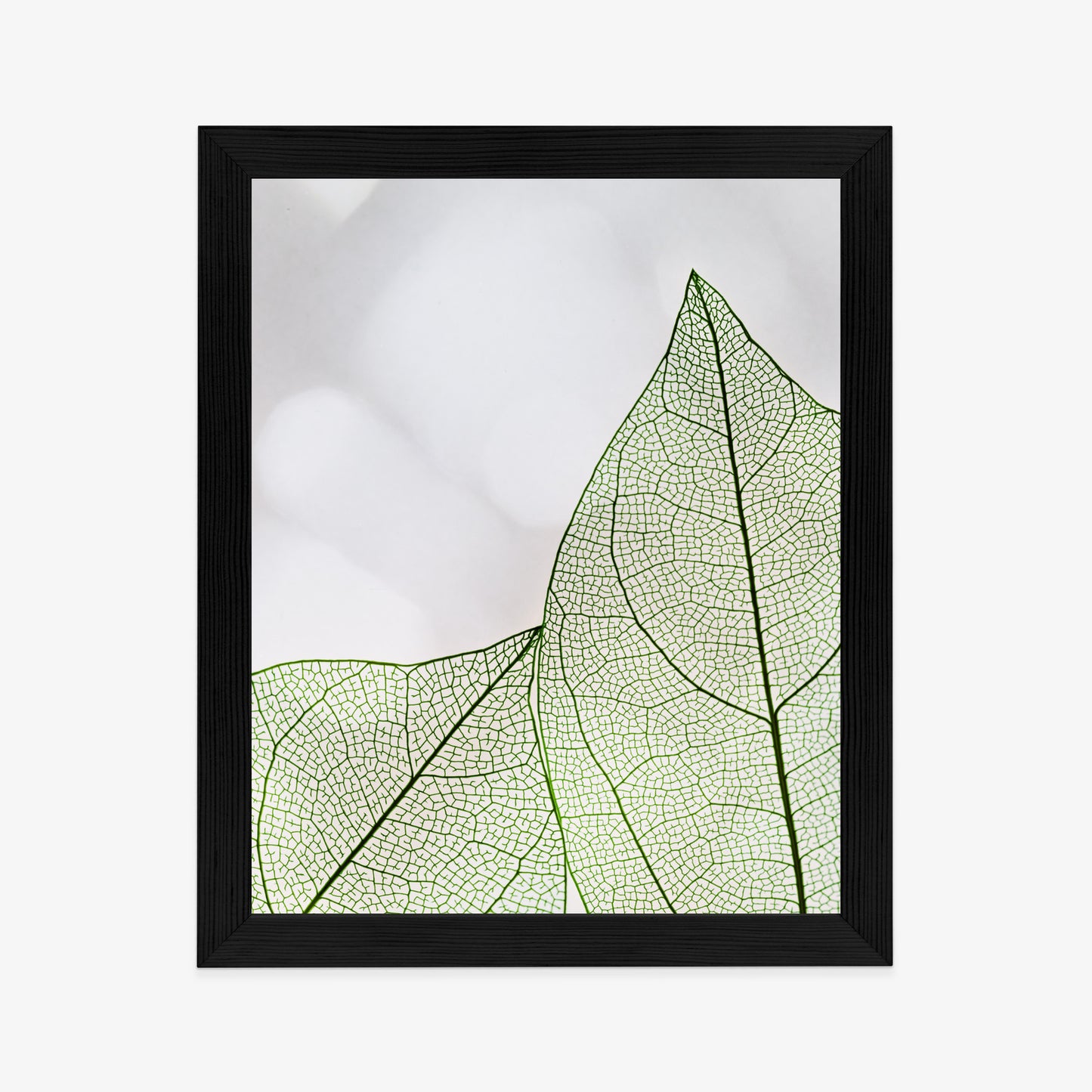 Poster Grüne Transparente Blätter Auf Hellem Hintergrund