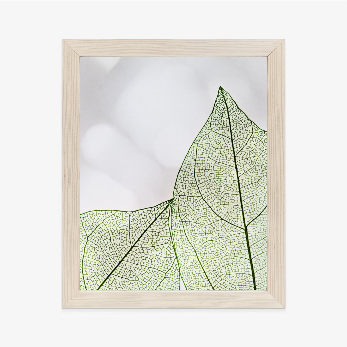 Poster Grüne Transparente Blätter Auf Hellem Hintergrund