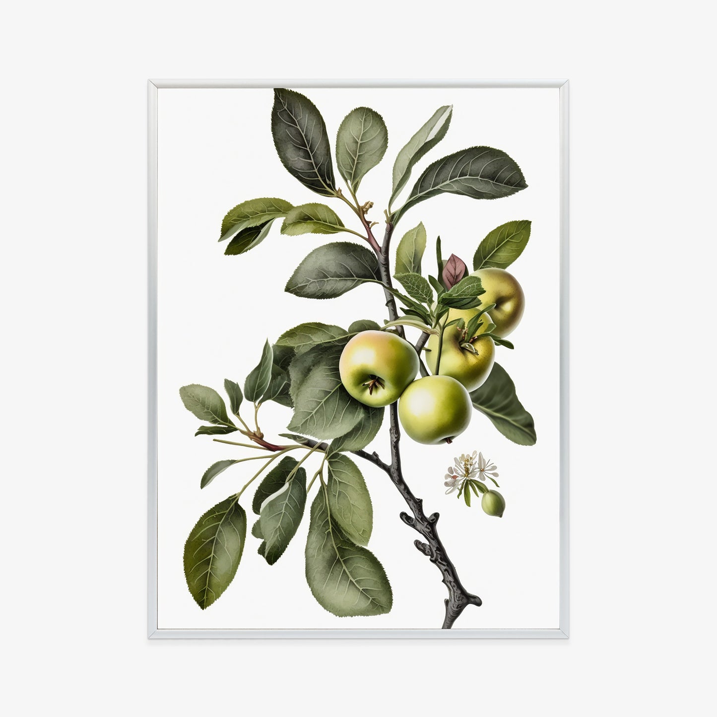 Poster Grüner Zweig Mit Äpfeln Rahmen Holz Mit Passepartout Farbe Natürlich