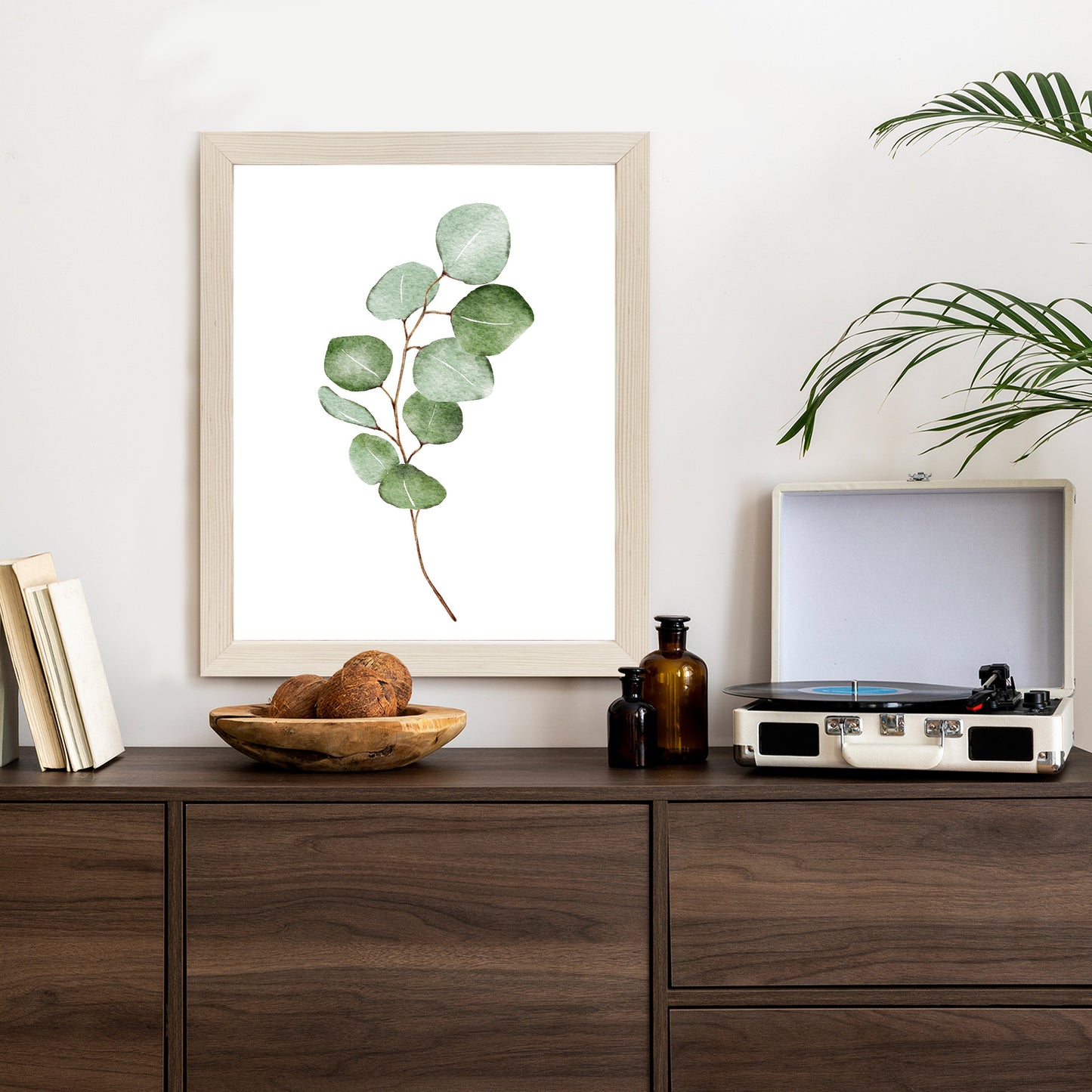 Poster Grüner Aquarell-Eukalyptuszweig Isoliert Auf Weißem Hintergrund