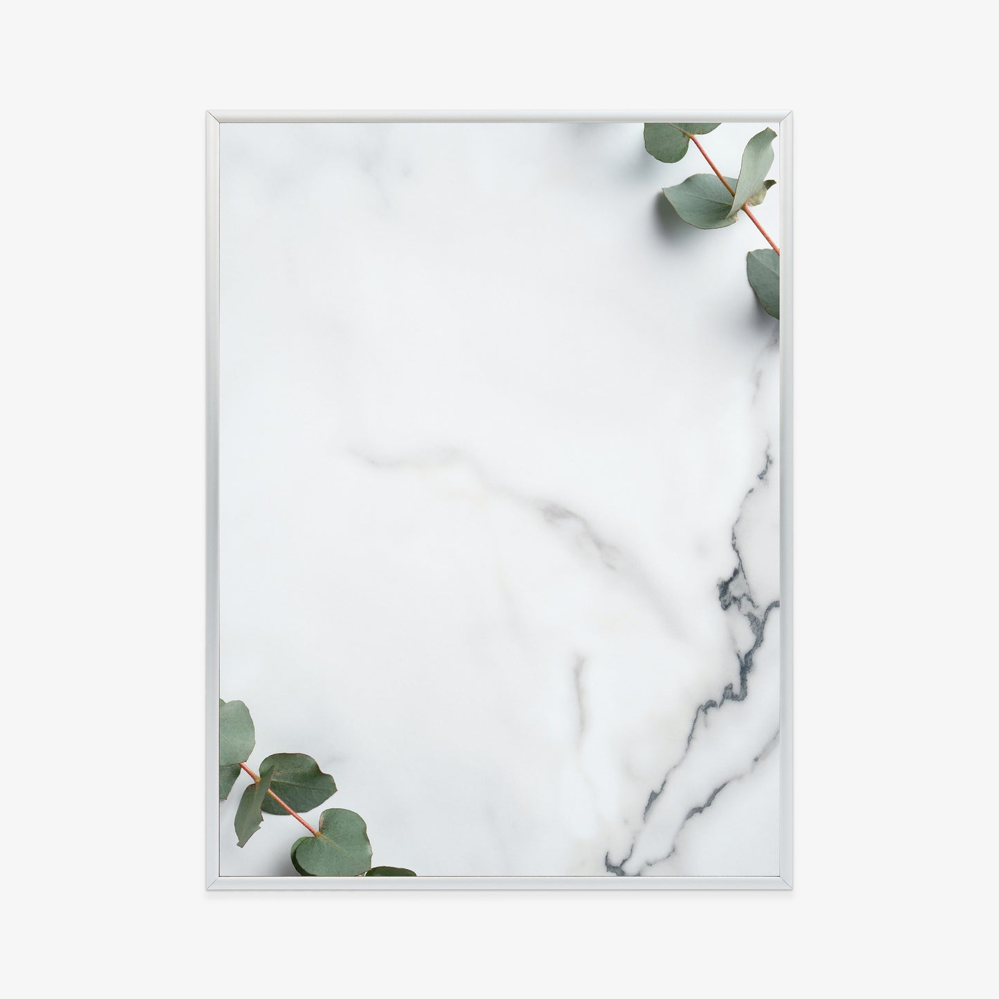 Poster Grünes Eukalyptusblatt Auf Marmor Rahmen Holz Mit Passepartout Farbe Natürlich