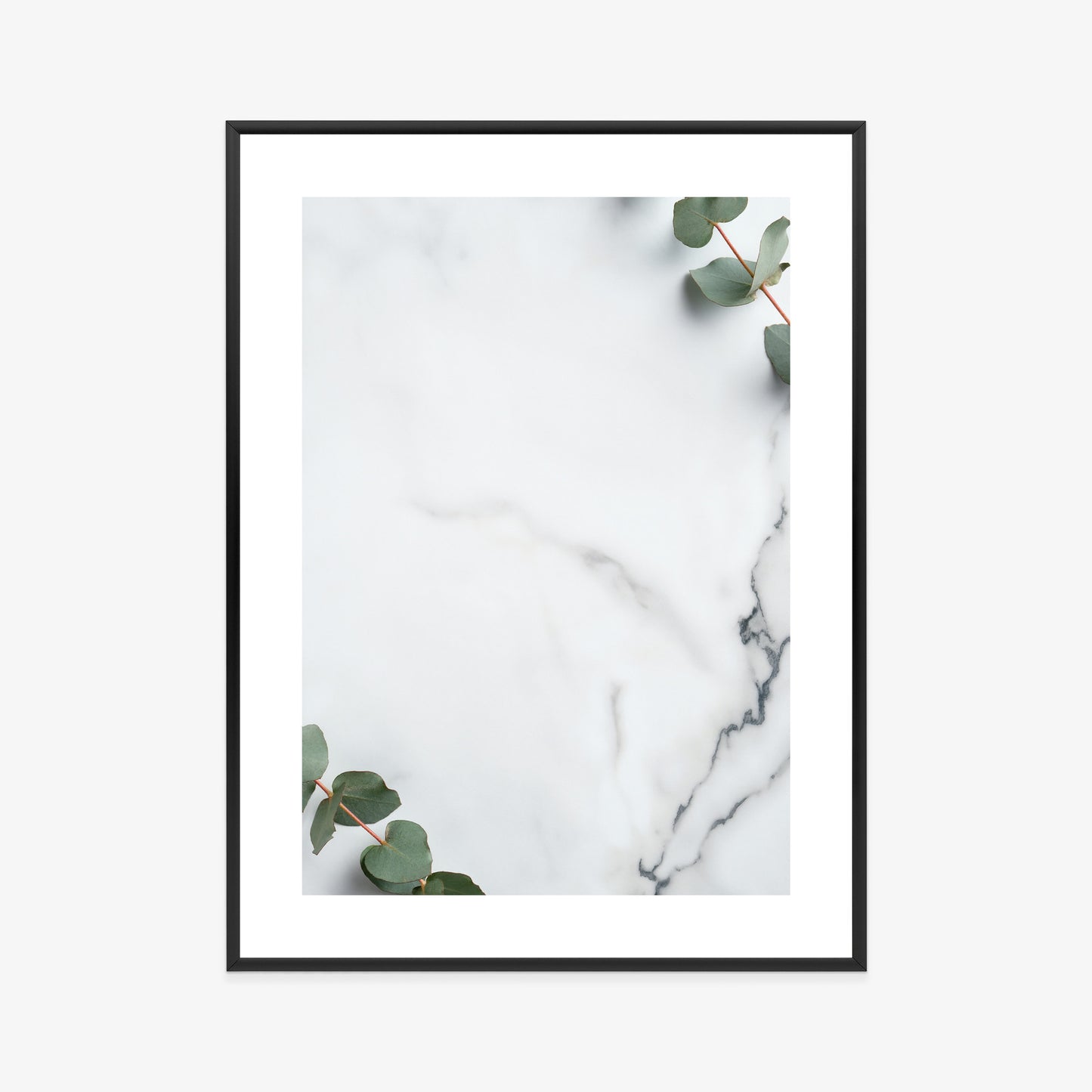 Poster Grünes Eukalyptusblatt Auf Marmor Rahmen Holz Mit Passepartout Farbe Natürlich
