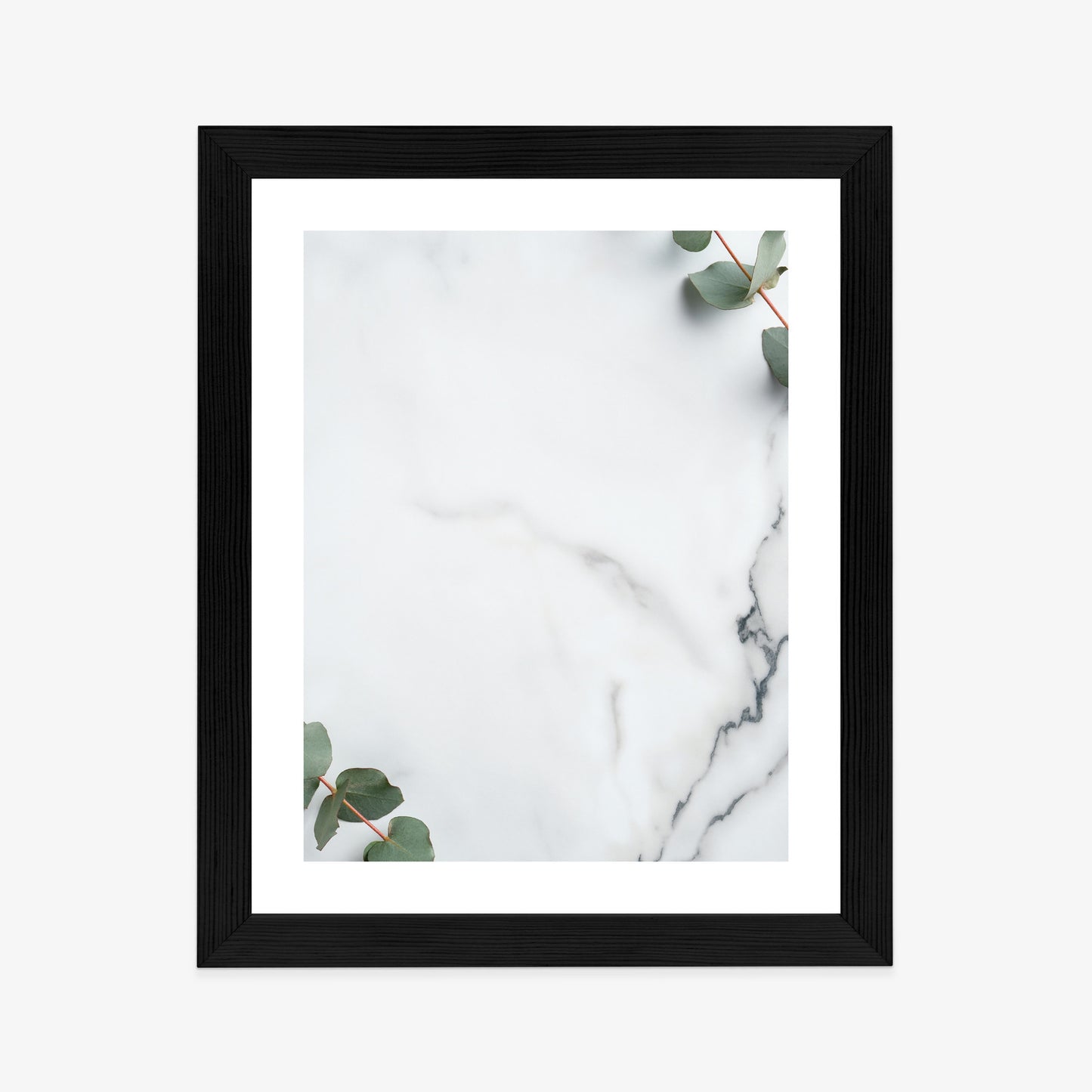 Poster Grünes Eukalyptusblatt Auf Marmor Rahmen Holz Mit Passepartout Farbe Natürlich