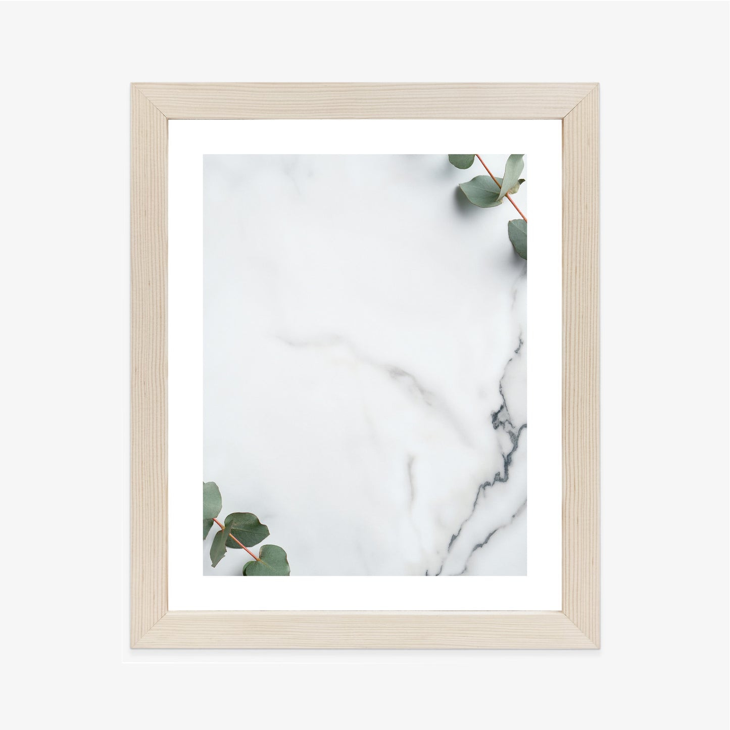 Poster Grünes Eukalyptusblatt Auf Marmor Rahmen Holz Mit Passepartout Farbe Natürlich