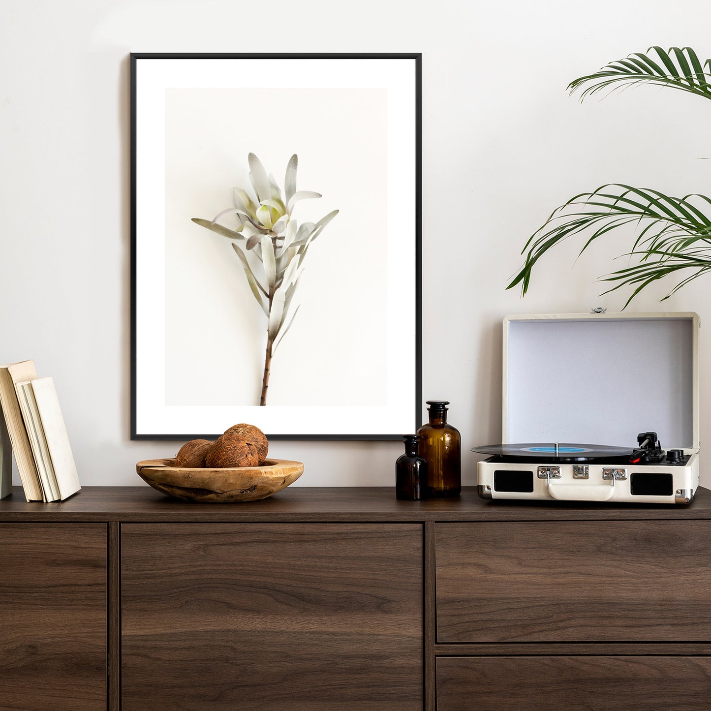 Poster Exotische Pflanze Auf Hellem Hintergrund Rahmen Holz Mit Passepartout Farbe Natürlich