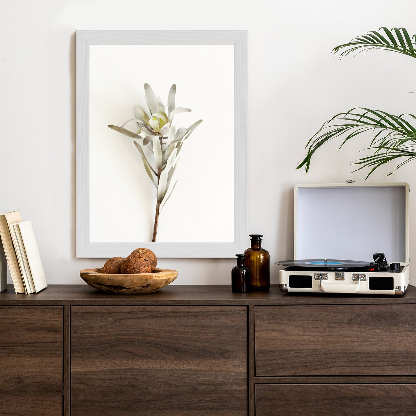 Poster Exotische Pflanze Auf Hellem Hintergrund Rahmen Holz Mit Passepartout Farbe Natürlich
