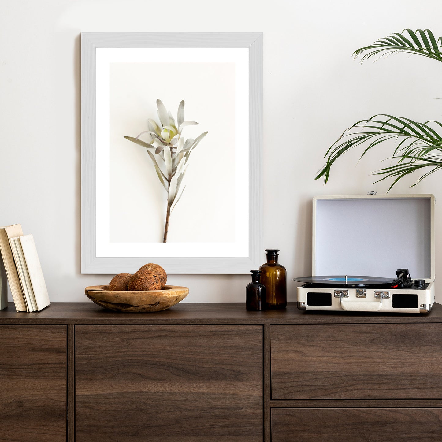 Poster Exotische Pflanze Auf Hellem Hintergrund Rahmen Holz Mit Passepartout Farbe Natürlich