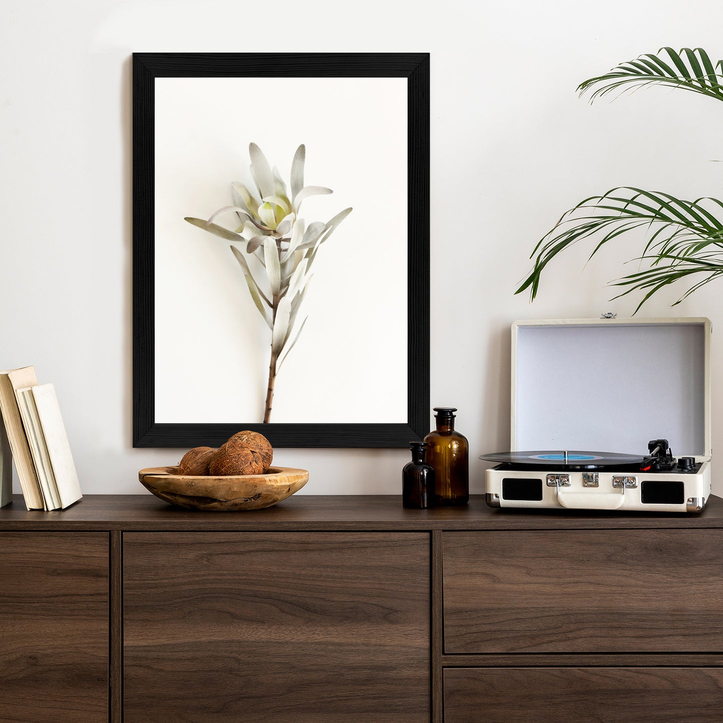 Poster Exotische Pflanze Auf Hellem Hintergrund Rahmen Holz Mit Passepartout Farbe Natürlich