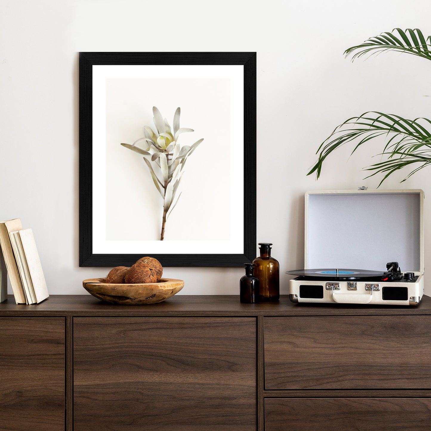 Poster Exotische Pflanze Auf Hellem Hintergrund Rahmen Holz Mit Passepartout Farbe Natürlich