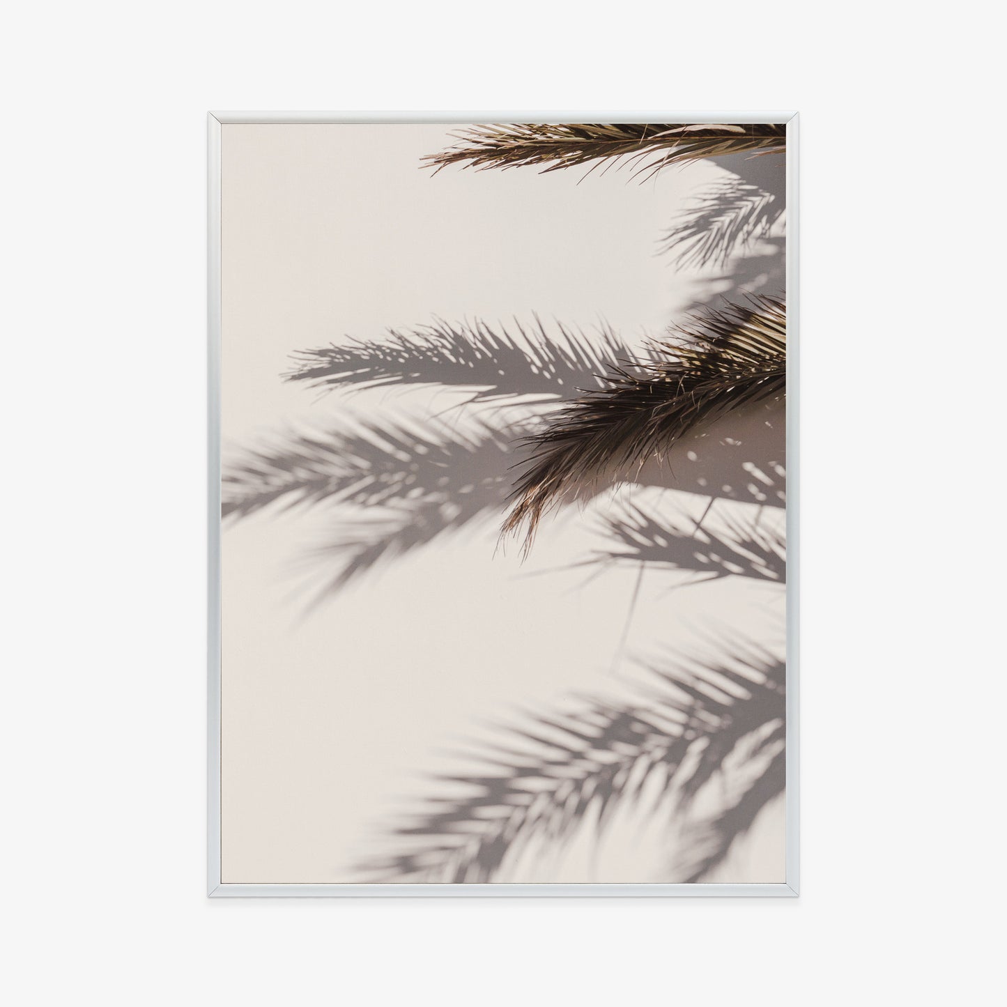 Poster Palmblätter Mit Schattenreflexion An Der Wand Rahmen Holz Mit Passepartout Farbe Natürlich
